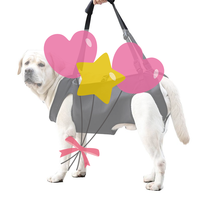 Harness Climbing Adjustable - Dog Stair Assistance Leash Elderly Dog